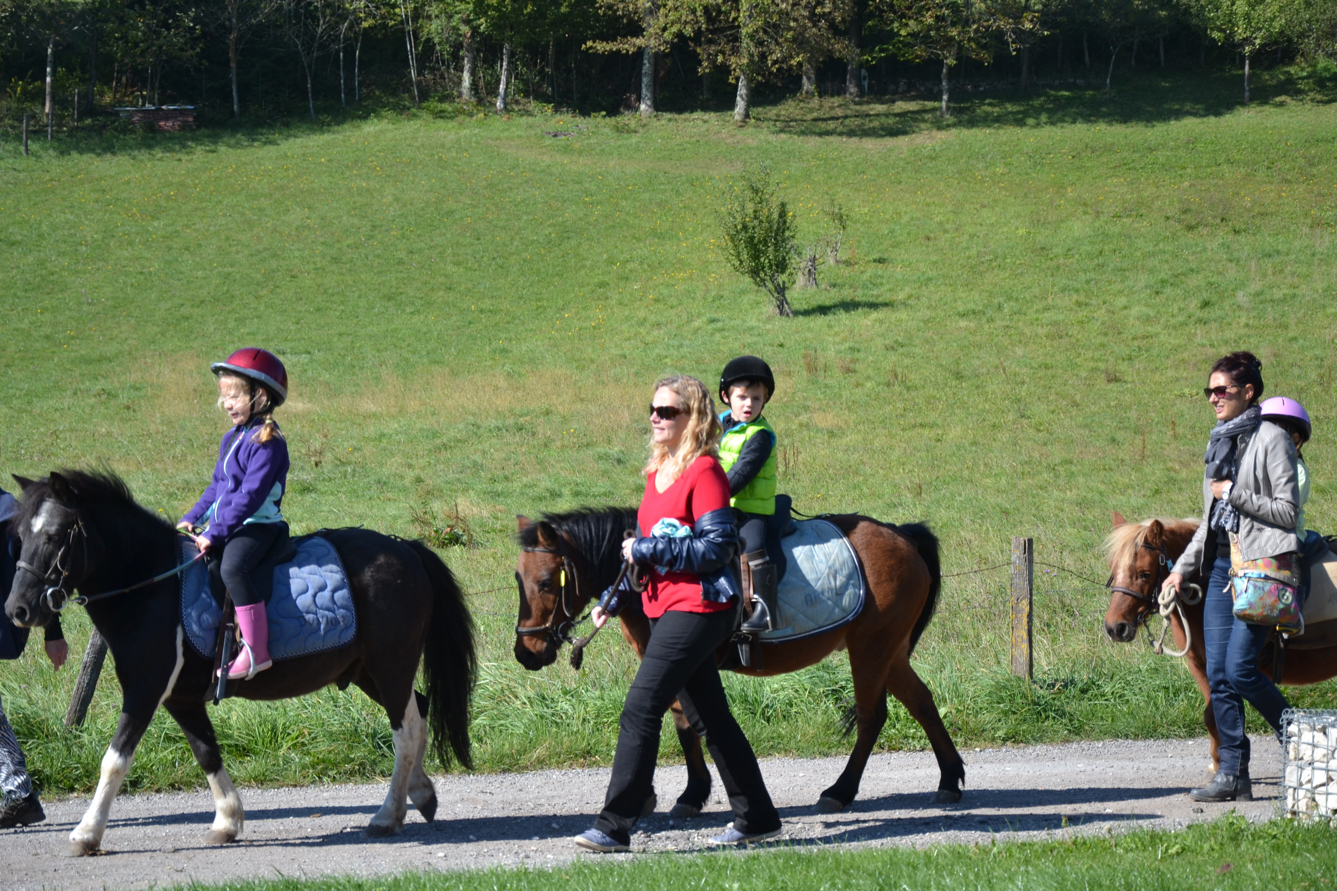Cours et sortie équitation, cours particulier Besançon
